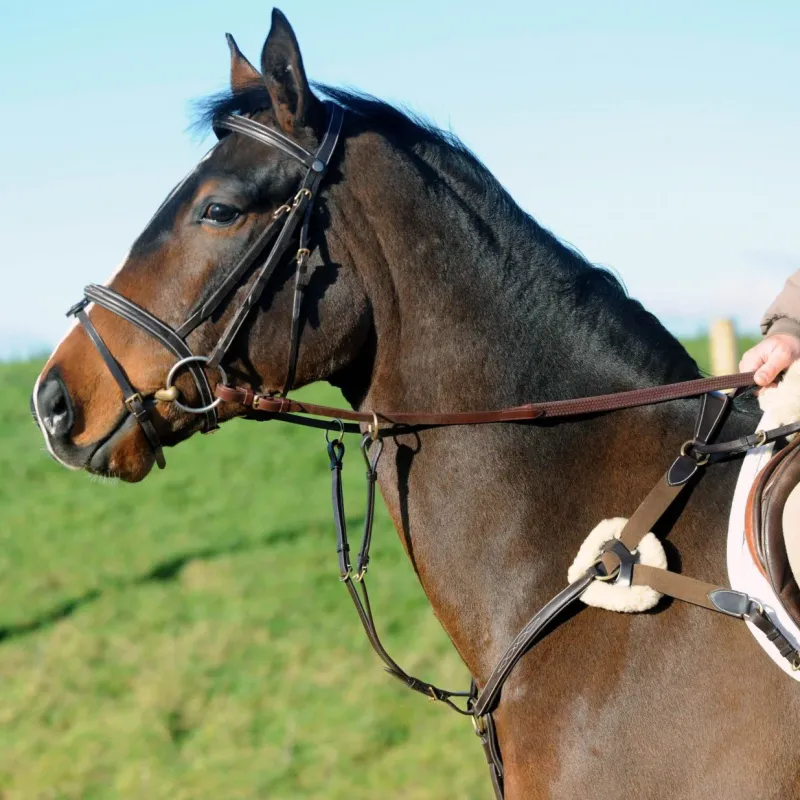 John Whitaker Breast Plates<Valencia 5 Point Breastplate