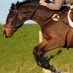 John Whitaker Breast Plates<Valencia 5 Point Breastplate