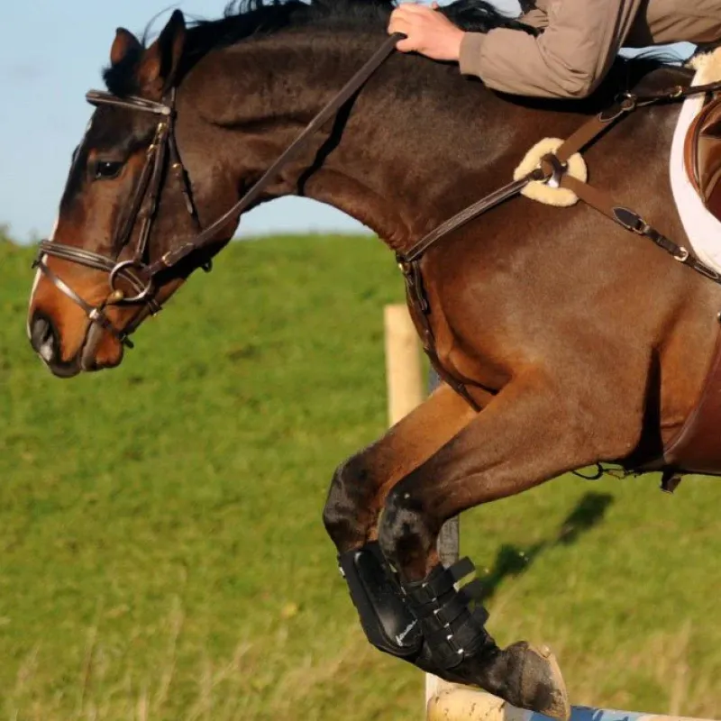 John Whitaker Breast Plates<Valencia 5 Point Breastplate