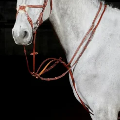 John Whitaker Martingales<Valencia Luxury Martingale