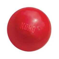 Kong Dog Toys<Ball