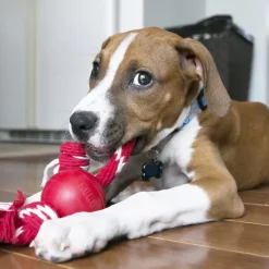 Trilanco Dog Toys<Kong Ball With Rope