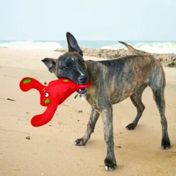 Kong Dog Toys<Belly Flops Lobster