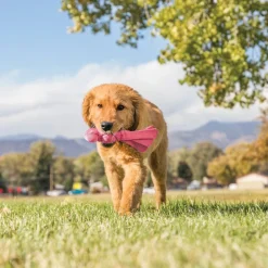 Kong Dog Toys<Wubba Puppy