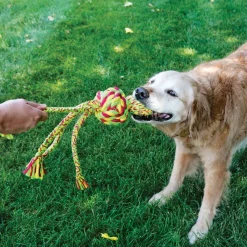 Trilanco Dog Toys<Kong Wubba Weaves With Rope