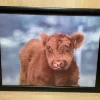 Du0026C Supplies Homeware<Lap Tray Highland Calf