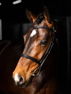 LeMieux Bridles<Arika Cavesson Bridle