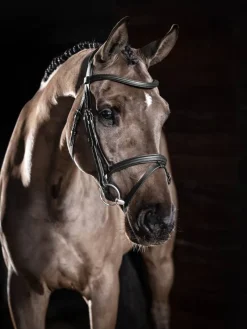 LeMieux Horse Wear Accessories|Bridles<Arika Flash Bridle