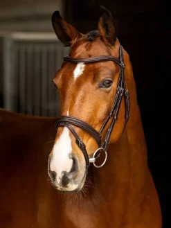 LeMieux Horse Wear Accessories|Bridles<Arika Flash Bridle