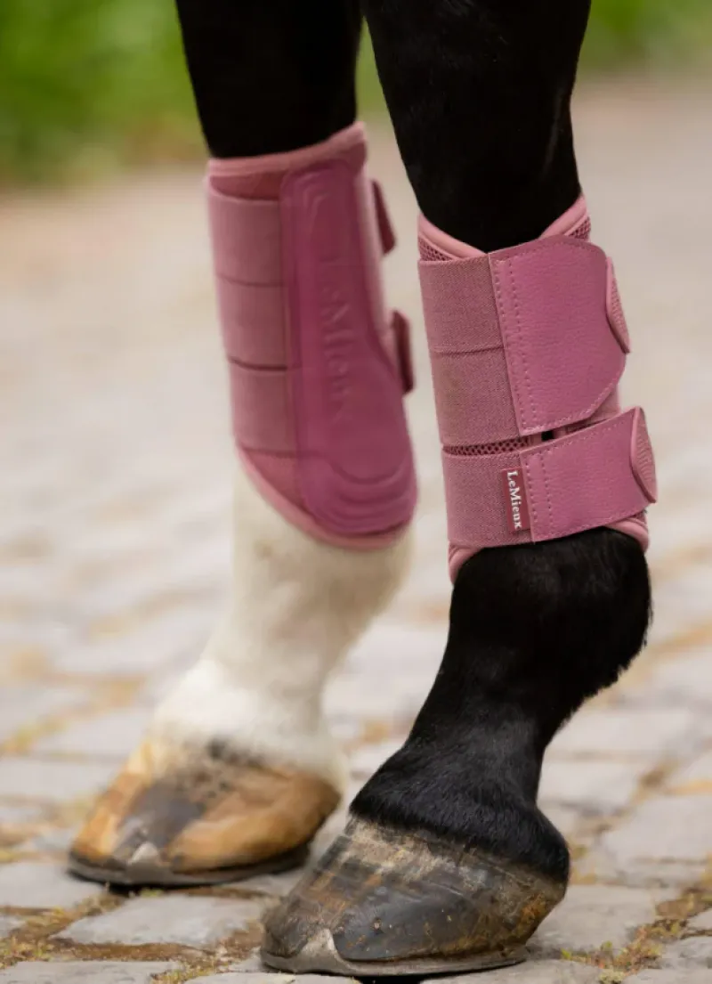 LeMieux Brushing Boots<Arika Mesh Brushing Boots SS25