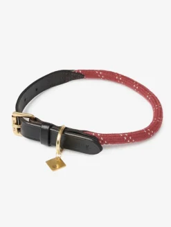 LeMieux Collars And Leads<Ascot Rope Dog Collar
