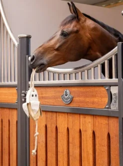 LeMieux Toys<Banana Horse Toy