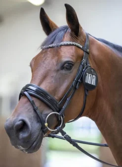 LeMieux Number Holders|Bridle Parts<Bridle Number Holder