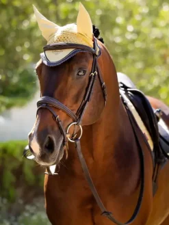 LeMieux Horse Wear Accessories|Fly Masks & Nets<Classic Fly Hood SS25