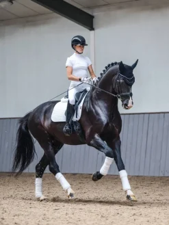 LeMieux Saddlepads & Numnahs<Cotton Dressage Square