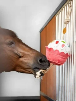 LeMieux Toys<Cupcake Horse Toy
