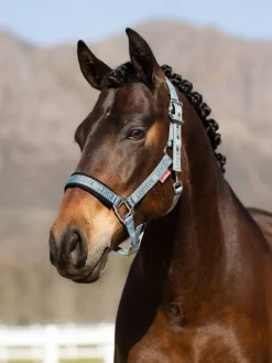 LeMieux Head Collars<Logo Headcollar AW24