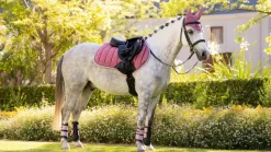 LeMieux Saddlepads & Numnahs<Loire Classic Close Contact Square SS25