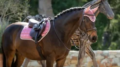 LeMieux Saddlepads & Numnahs<Loire Classic Close Contact Square SS25