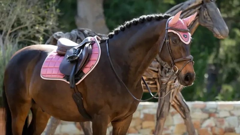 LeMieux Saddlepads & Numnahs<Loire Classic Close Contact Square SS25