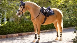 LeMieux Saddlepads & Numnahs<Loire Classic Close Contact Square SS25