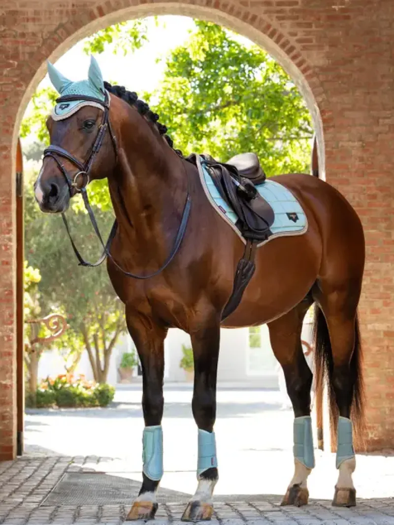 LeMieux Saddlepads & Numnahs<Loire Classic Close Contact Square SS25