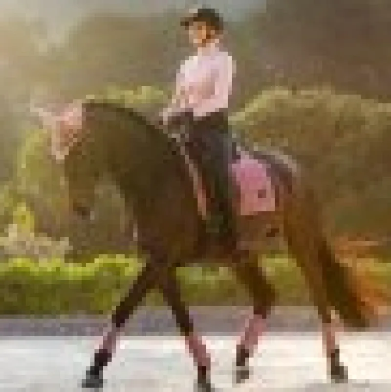 LeMieux Saddlery Accessories|Saddlepads & Numnahs<Loire Classic Dressage Square SS25