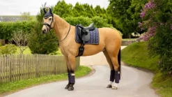 LeMieux Saddlery Accessories|Saddlepads & Numnahs<Loire Classic Dressage Square SS25