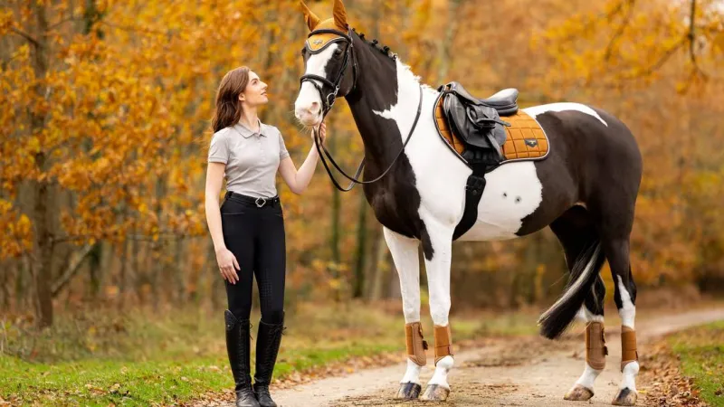 LeMieux Saddlepads & Numnahs<Loire Satin Classic Close Contact Square AW24