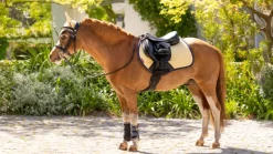 LeMieux Saddlepads & Numnahs<Mini Suede Close Contact Square SS25