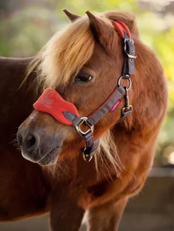 LeMieux Head Collars<Mini Vogue Fleece Headcollar and Rope