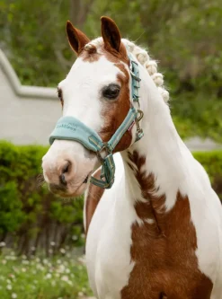 LeMieux Head Collars<Mini Vogue Headcollar & Leadrope SS25