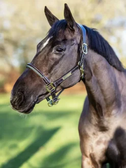 LeMieux Head Collars<Rope Control Headcollar