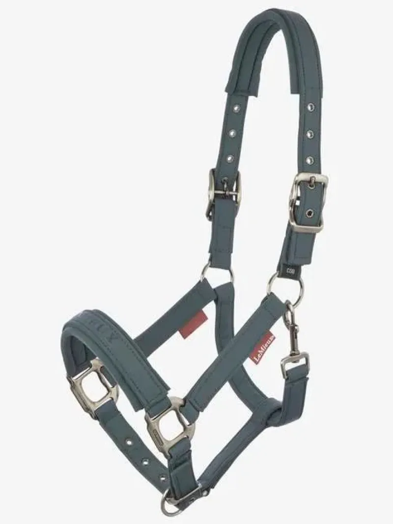 LeMieux Stable Accessories|Horse Wear Accessories<Soft Shell Headcollar AW24