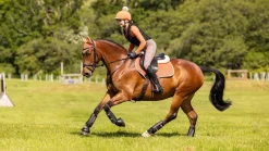 LeMieux Saddlepads & Numnahs|Accessories<Suede Close Contact Square SS24