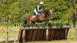 LeMieux Saddlepads & Numnahs|Accessories<Suede Close Contact Square SS24