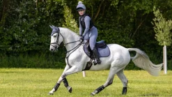 LeMieux Saddlepads & Numnahs|Accessories<Suede Close Contact Square SS24