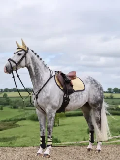 LeMieux Saddlepads & Numnahs|Riding Accessories<Suede Close Contact Square SS25