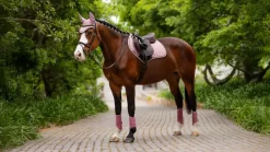 LeMieux Saddlepads & Numnahs|Riding Accessories<Suede Close Contact Square SS25