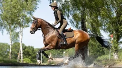 LeMieux Saddlepads & Numnahs<Suede Close Contact Square AW24