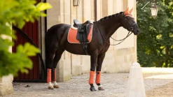LeMieux Saddlepads & Numnahs|Accessories<Suede Dressage Square SS24