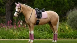 LeMieux Saddlepads & Numnahs|Riding Accessories<Suede Dressage Square SS25