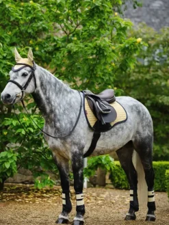 LeMieux Saddlepads & Numnahs<Suede GP Square SS25