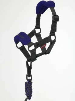 LeMieux Toys<Toy Pony Headcollar