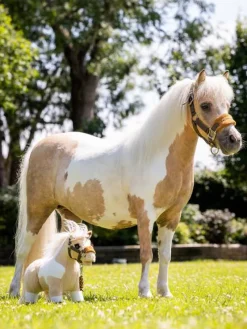 LeMieux Toys<Toy Pony Lemon