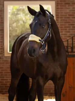 LeMieux Head Collars<Vogue Headcollar & Leadrope SS25