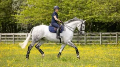 LeMieux Saddlepads & Numnahs<Work Pad