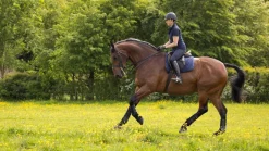 LeMieux Saddlepads & Numnahs<Work Pad