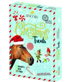 Battle Hayward u0026 Bower Treats<Lincoln Naughty or Nice Advent Calendar