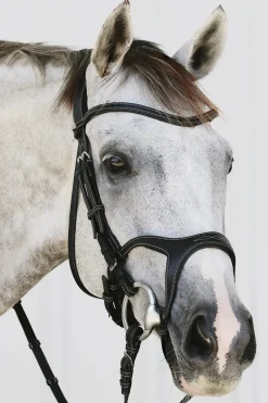 Montar Bridles<Monarch Jumping Bridle Eco Leather